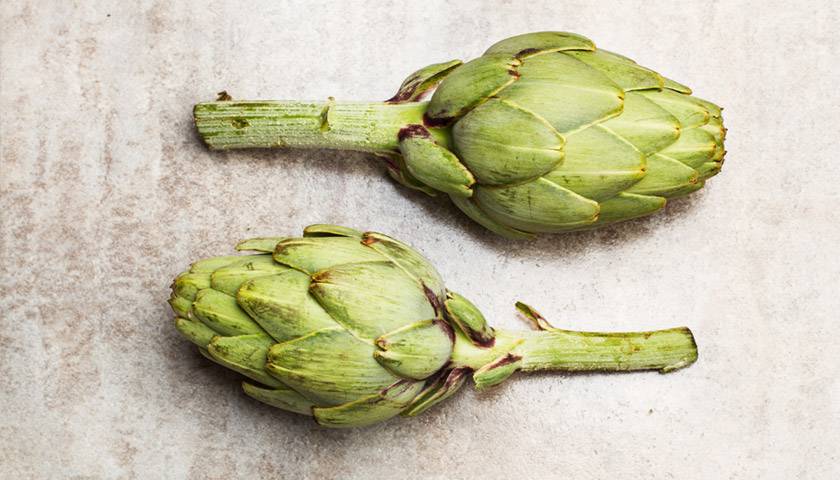 article 44 cover image